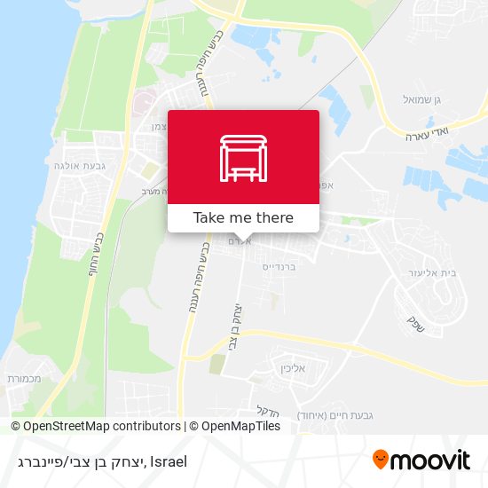 יצחק בן צבי/פיינברג map