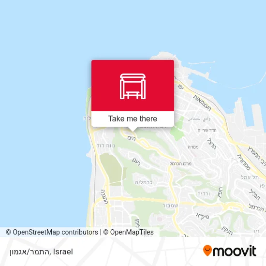 התמר/אגמון map