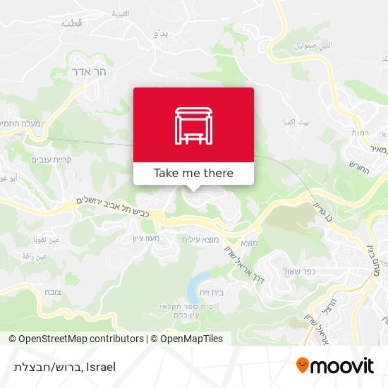 ברוש/חבצלת map