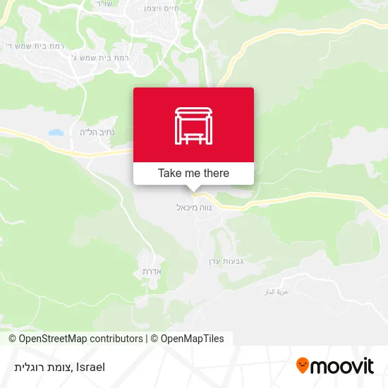 Карта צומת רוגלית