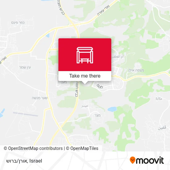 אורן/ברוש map