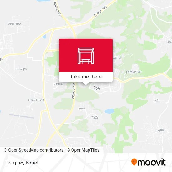 אורן/גפן map