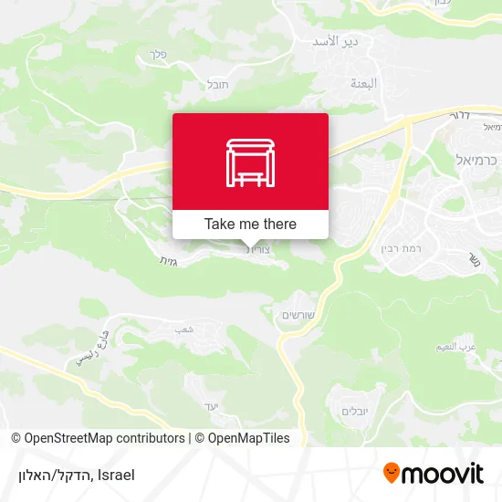 Карта הדקל/האלון