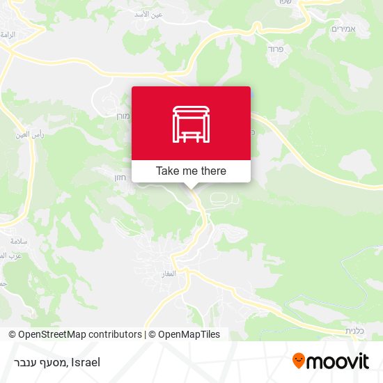 Карта מסעף ענבר