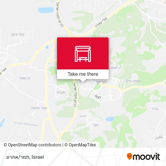 Карта תמר/אתרוג
