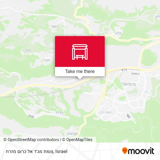 צומת מג'ד אל כרום מזרח map