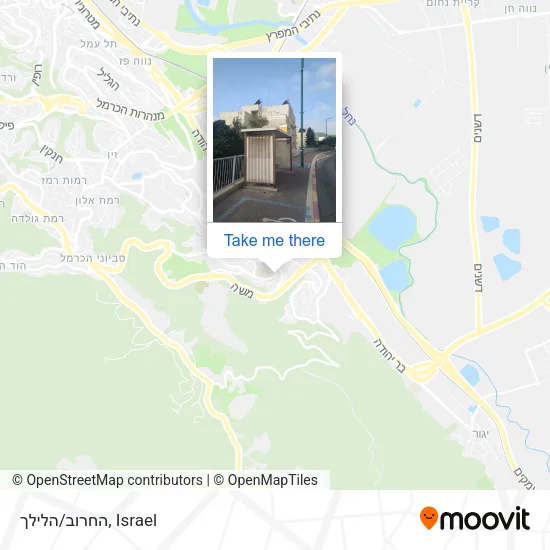 Карта החרוב/הלילך
