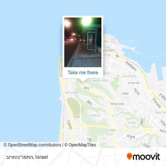 התמר/החרוב map