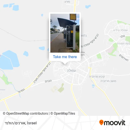 Карта אורנים/הולנד