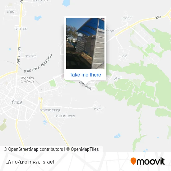 Карта האירוסים/סחלב