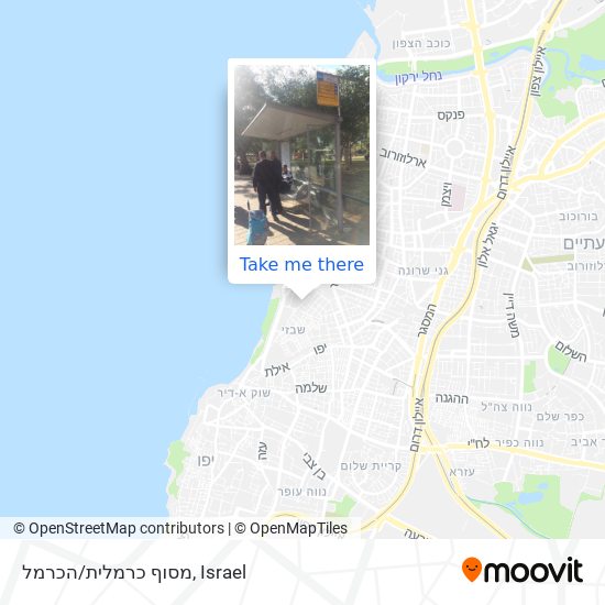 מסוף כרמלית/הכרמל map