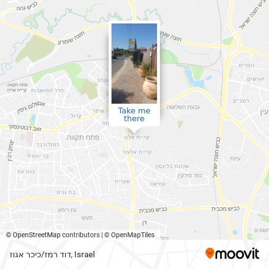 Карта דוד רמז/כיכר אגוז