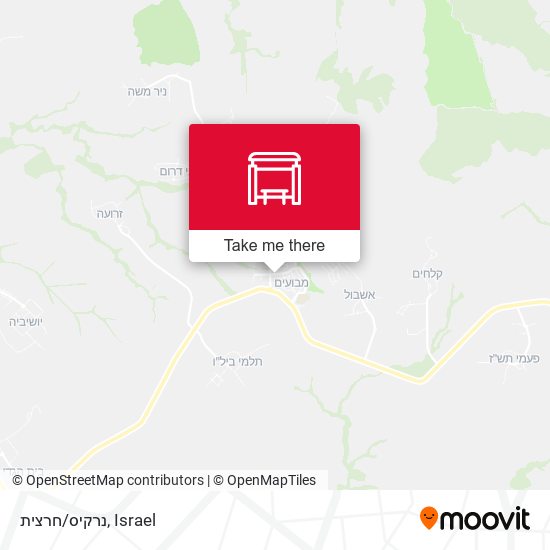 נרקיס/חרצית map