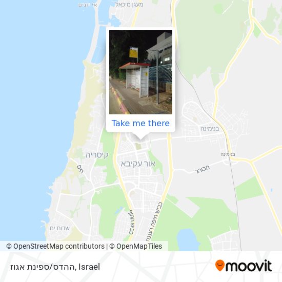 Карта ההדס/ספינת אגוז