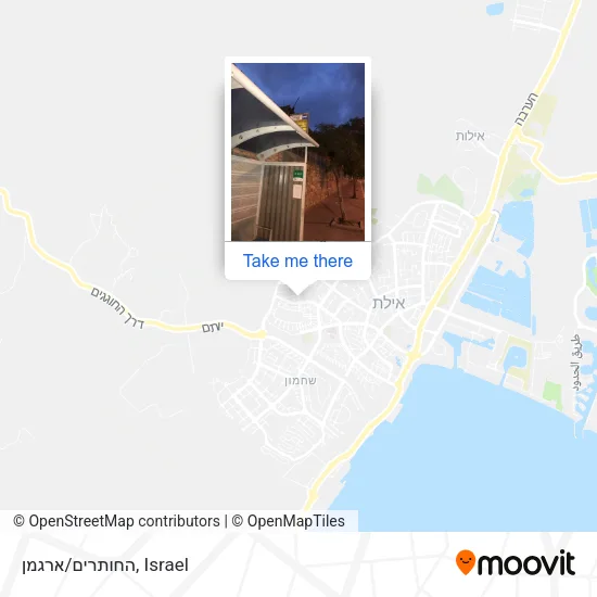 Карта החותרים/ארגמן