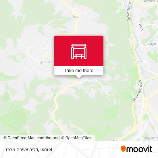 דליה צעירה מרכז map
