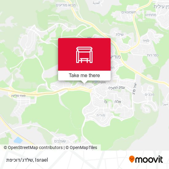 שלדג/דוכיפת map