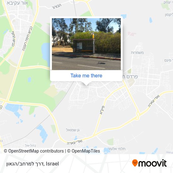 דרך למרחב/הגאון map