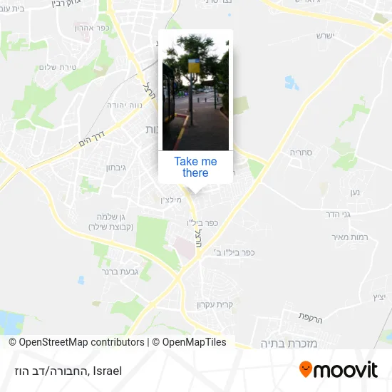 Карта החבורה/דב הוז