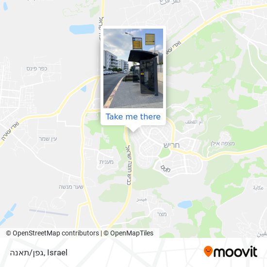 גפן/תאנה map