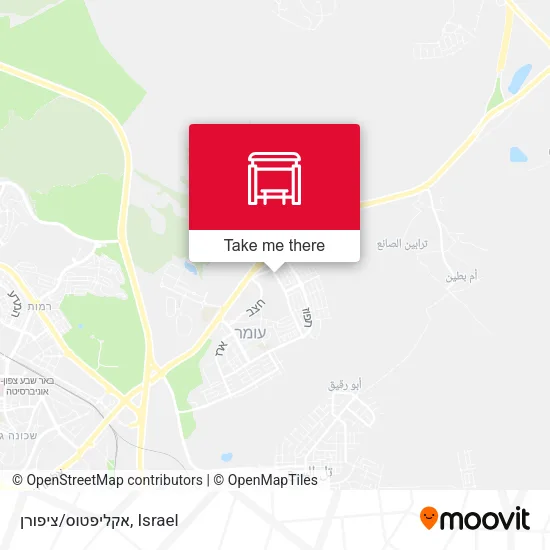 Карта אקליפטוס/ציפורן