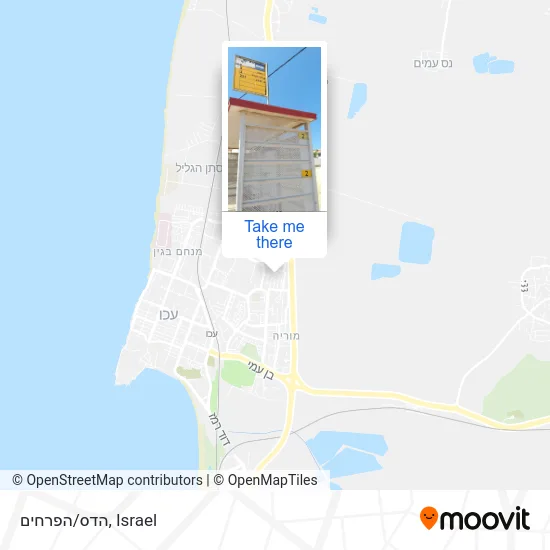 Карта הדס/הפרחים