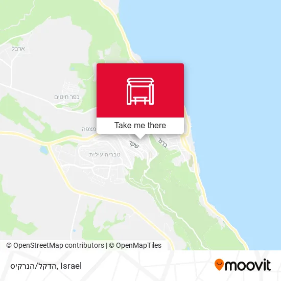Карта הדקל/הנרקיס