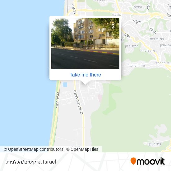 נרקיסים/הכלניות map
