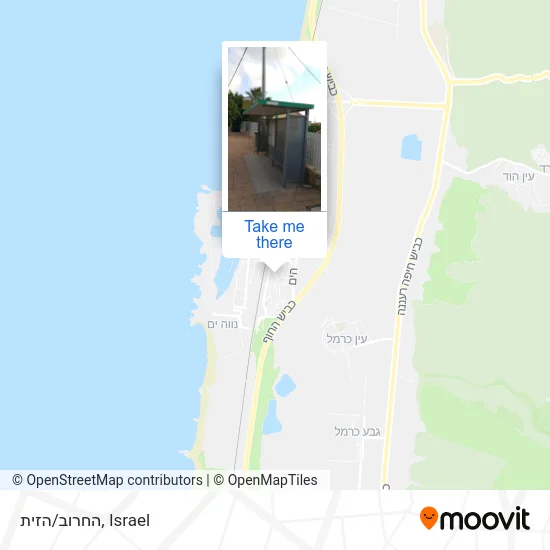 Карта החרוב/הזית