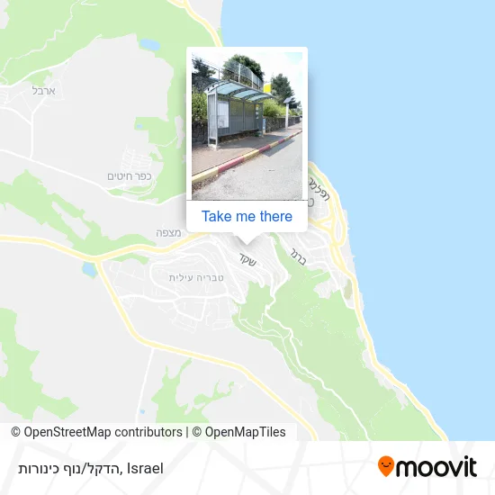 Карта הדקל/נוף כינורות