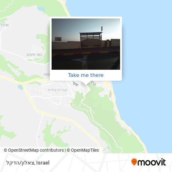 צאלון/הדקל map