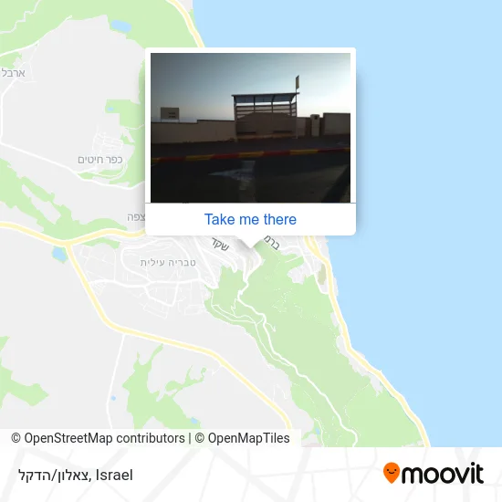 Карта צאלון/הדקל