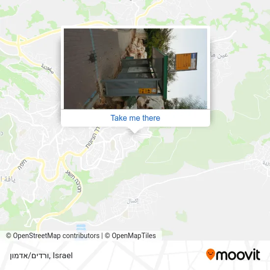 Карта ורדים/אדמון