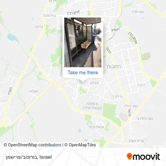 בורוכוב/פרישמן map