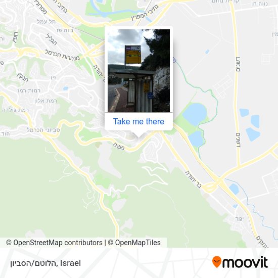 הלוטם/הסביון map