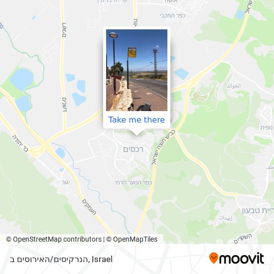 הנרקיסים/האירוסים ב map