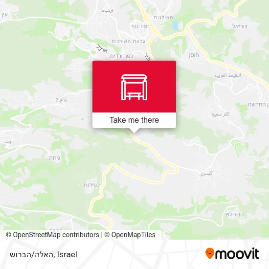 Карта האלה/הברוש