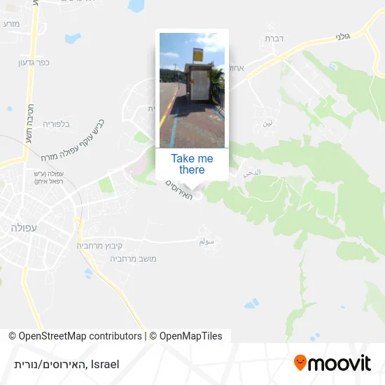 Карта האירוסים/נורית