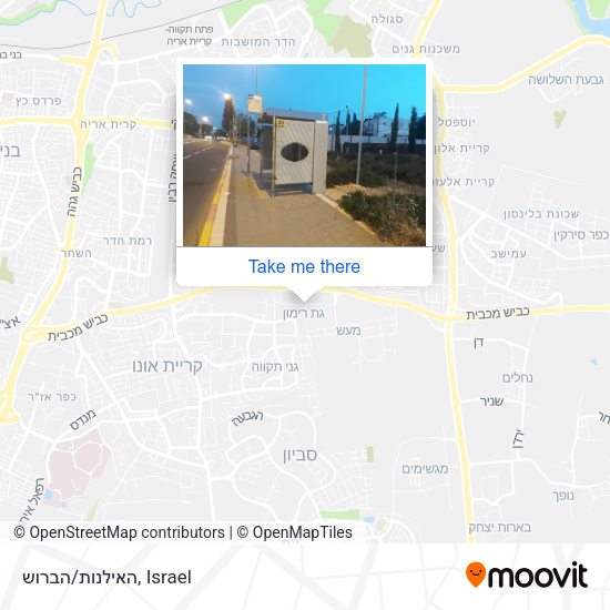 האילנות/הברוש map