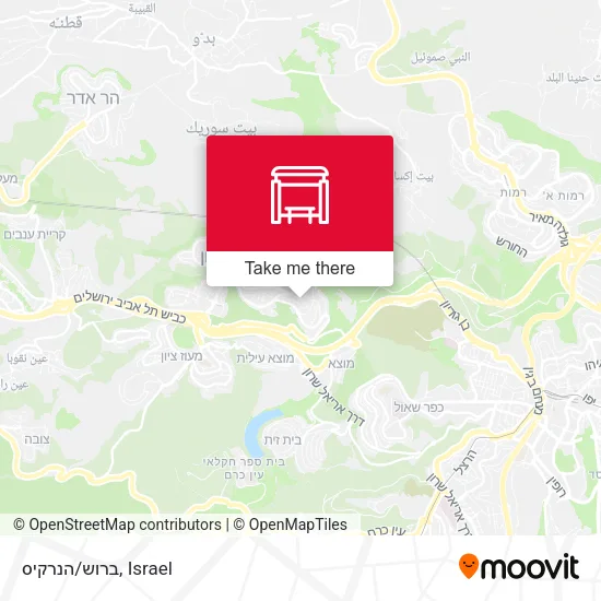 Карта ברוש/הנרקיס