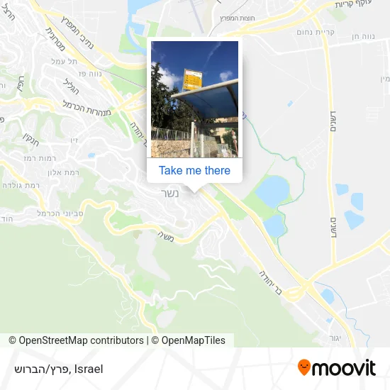 Карта פרץ/הברוש