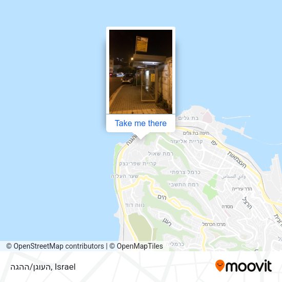 Карта העוגן/ההגה