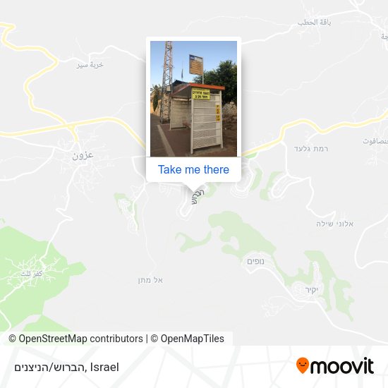 הברוש/הניצנים map