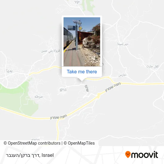 Карта דרך ברקן/הענבר