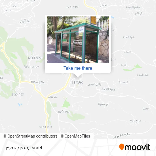 Карта הגפן/המעיין