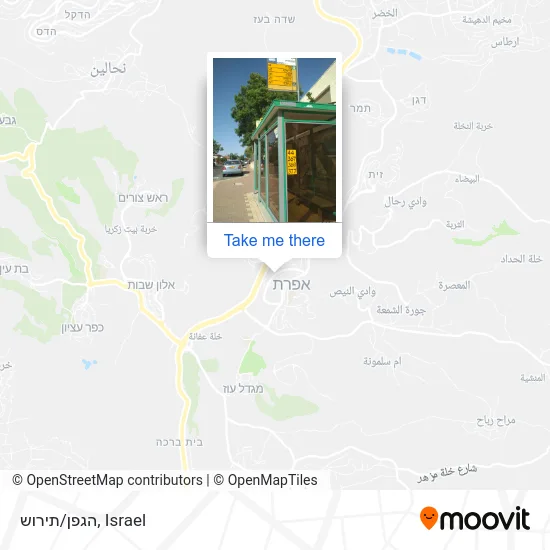 Карта הגפן/תירוש