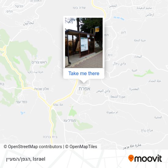 הגפן/המעיין map