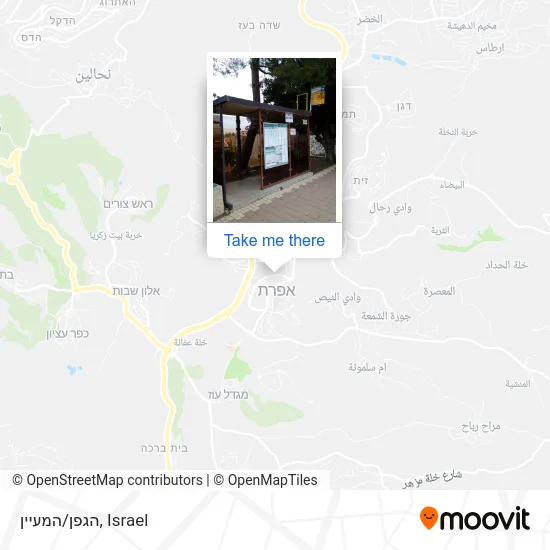 Карта הגפן/המעיין