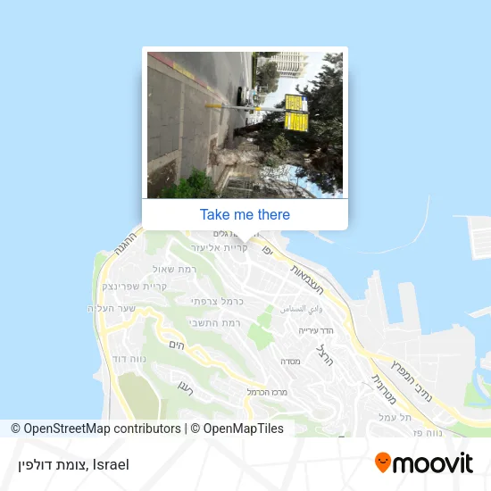 Карта צומת דולפין