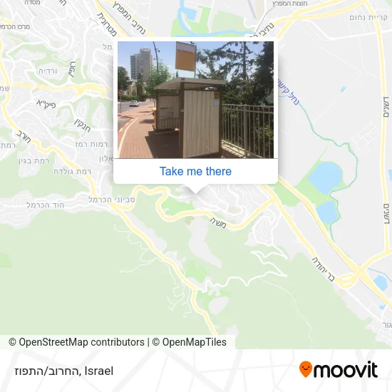 Карта החרוב/התפוז